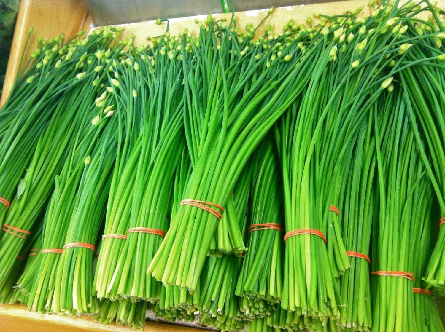 Garlic Chive Powder Without FODMAP: Ultimate Guide