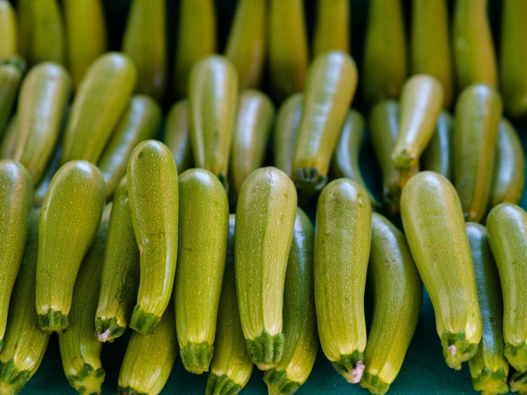Is Zucchini Low FODMAP? Your Essential Guide