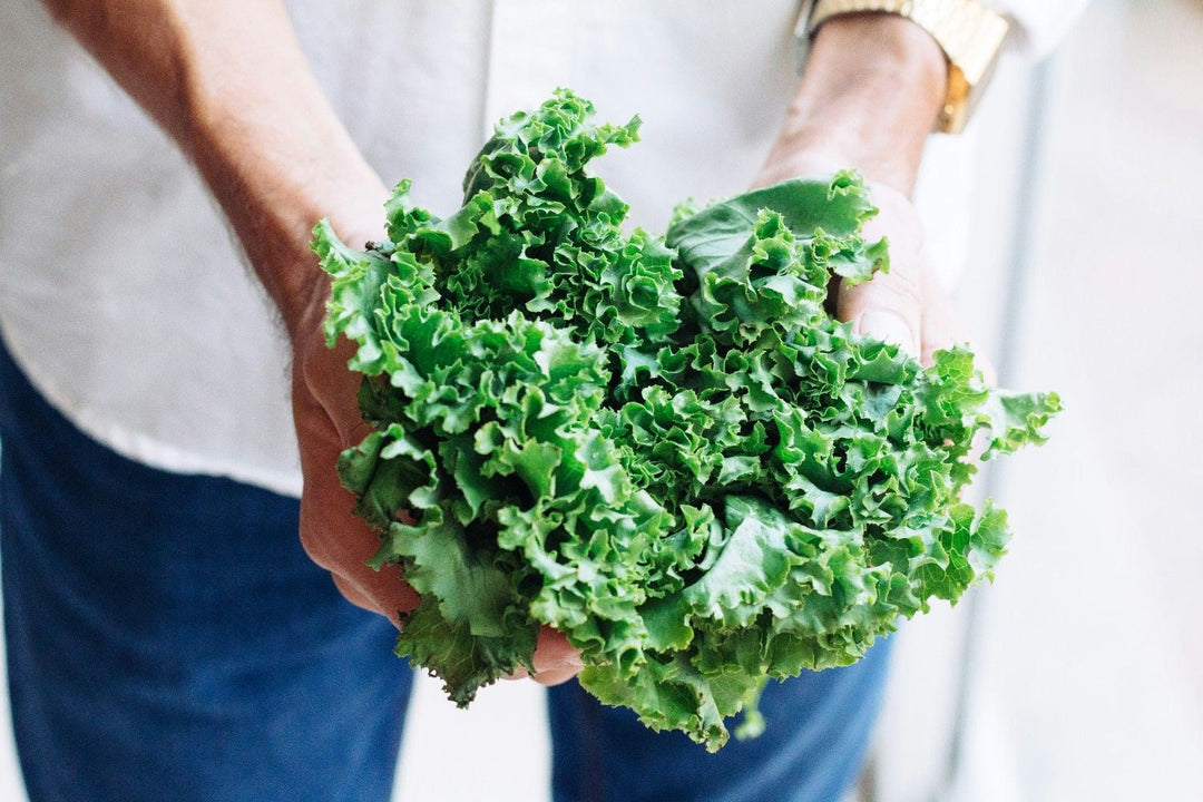 Is Kale Low FODMAP? Proven Guide for Easy Digestion