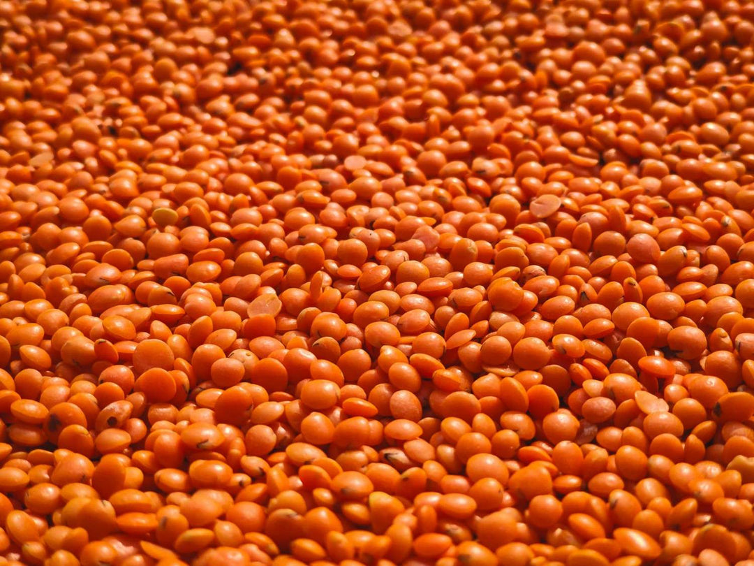 Low FODMAP Lentils: Your 2026 Guide