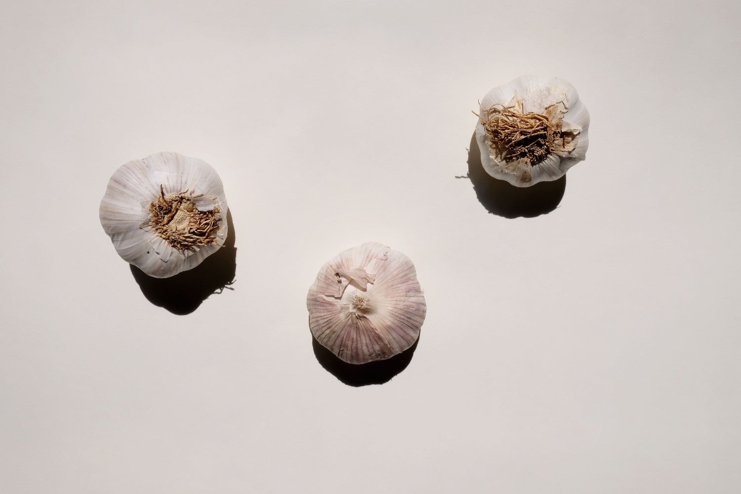 Is Garlic Gluten-Free? Gourmend Foods Guide 2026