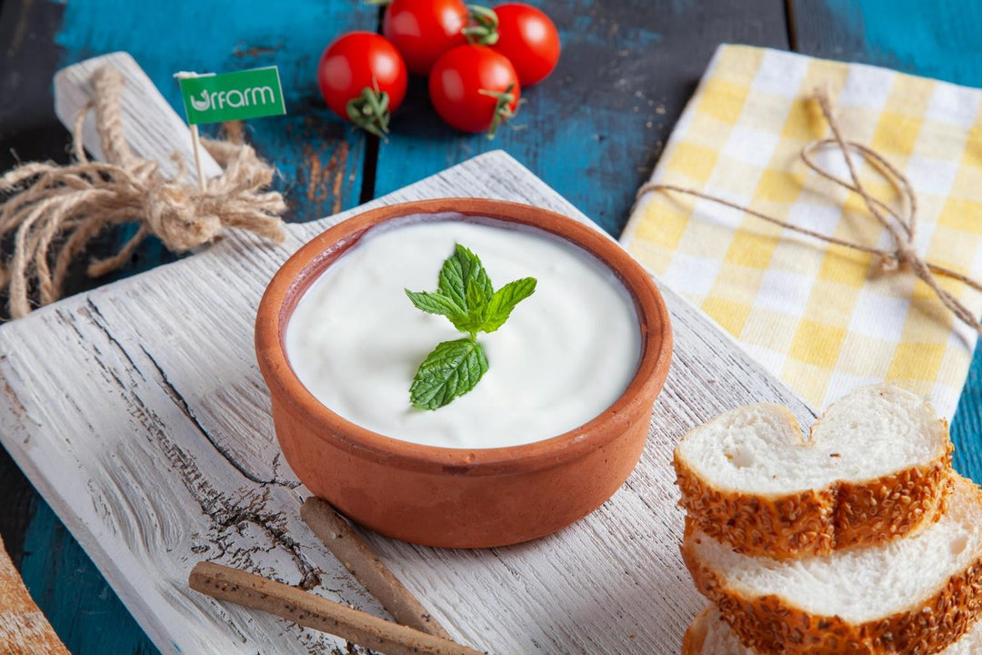 Yogurt FODMAP Guide 2026: Best Choices