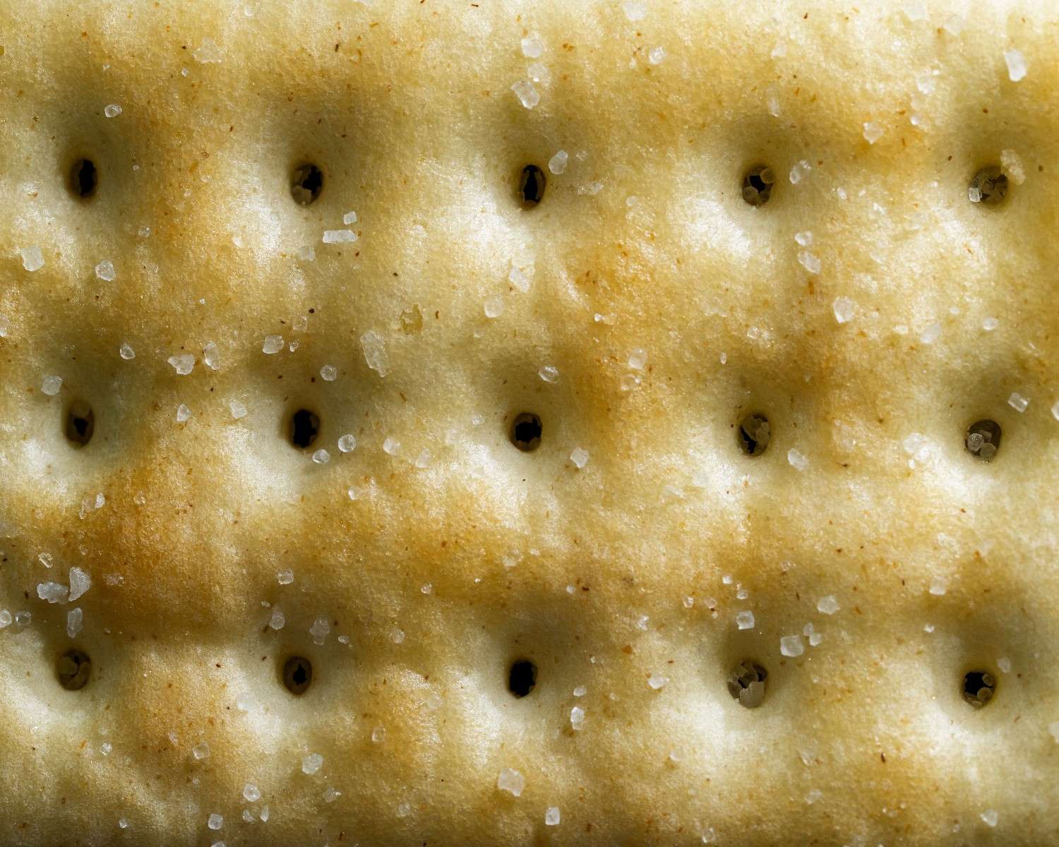 Low FODMAP Sourdough Crackers: Cost & Value