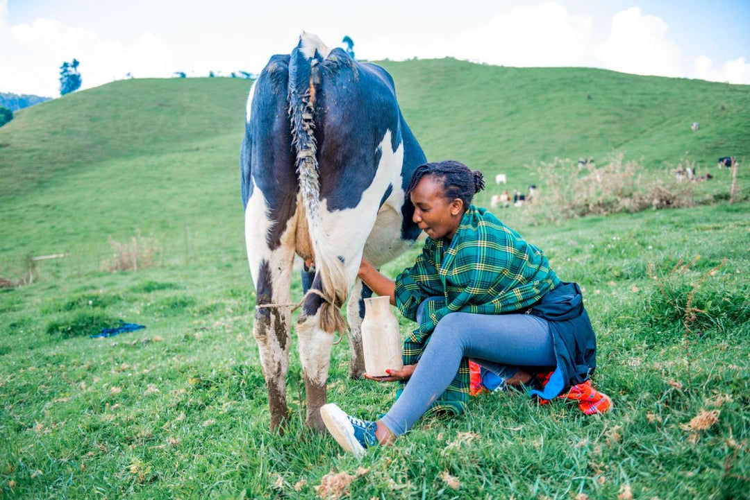 Low FODMAP Milk Guide: Best Milk Alternatives, Serving Sizes, and Cooking Tips