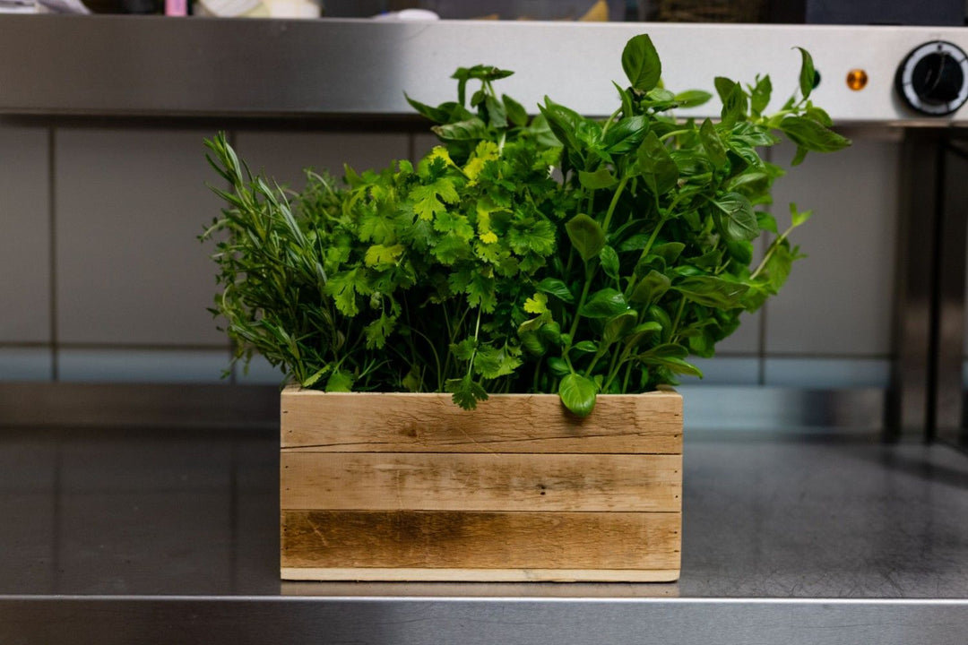 Herbs for Replacing Garlic on a Low FODMAP Diet