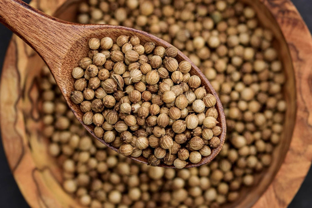 Low FODMAP Cumin vs Coriander for IBS Tacos: The Flavor and Digestion Guide