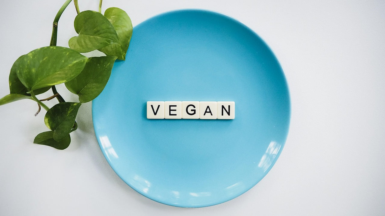 Best Plant Based Bundle 2026: Easy Guide for Flavor & Gut Health