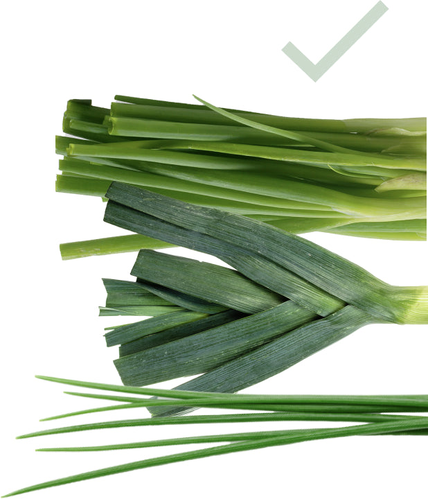fodmap alliums