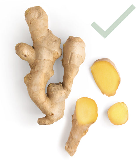 fodmap ginger