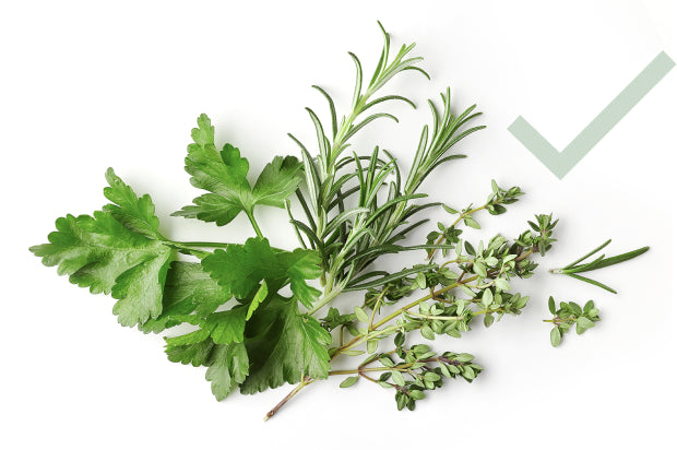 fodmap herbs