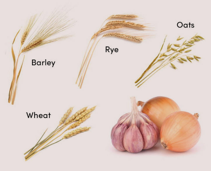 low fodmap diet