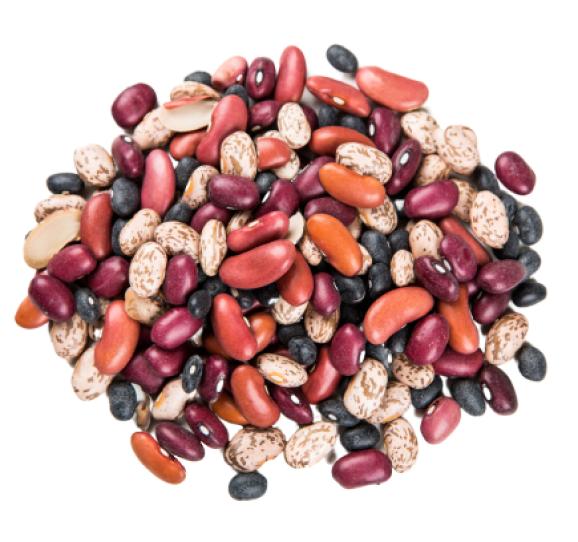 low fodmap diet