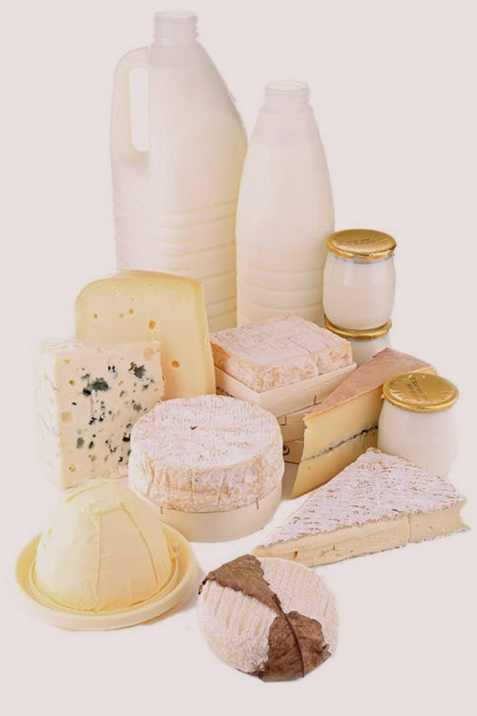 low fodmap diet