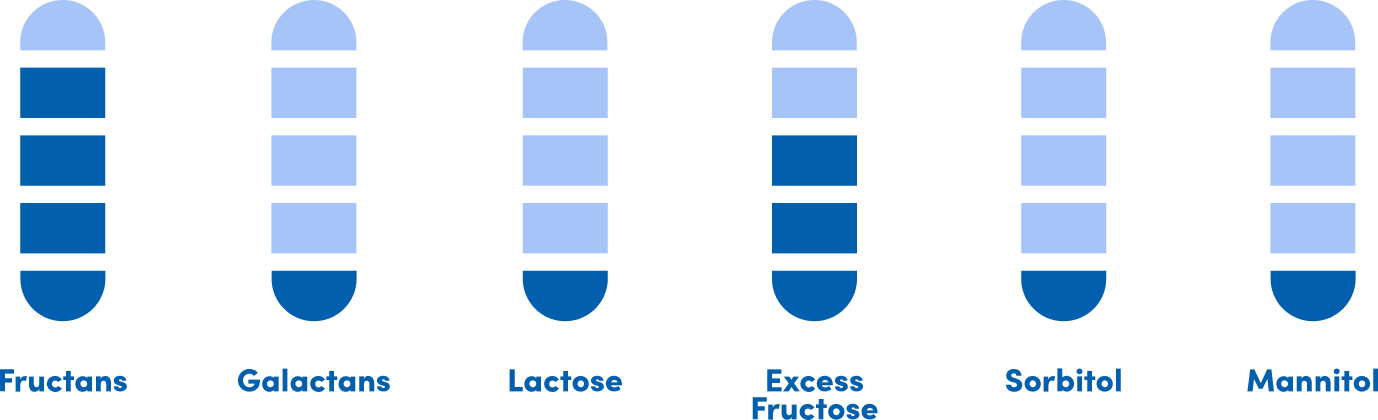 low fodmap diet