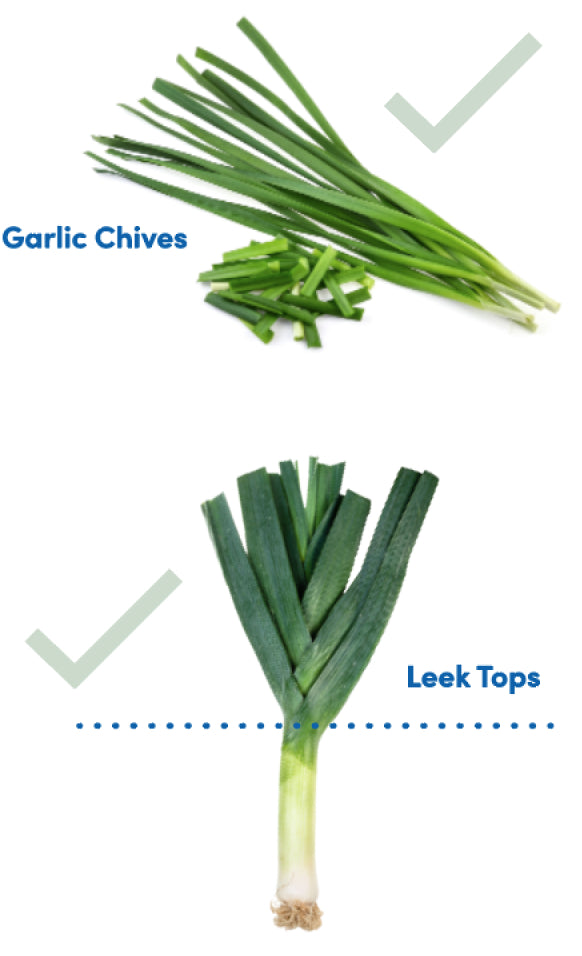low fodmap diet