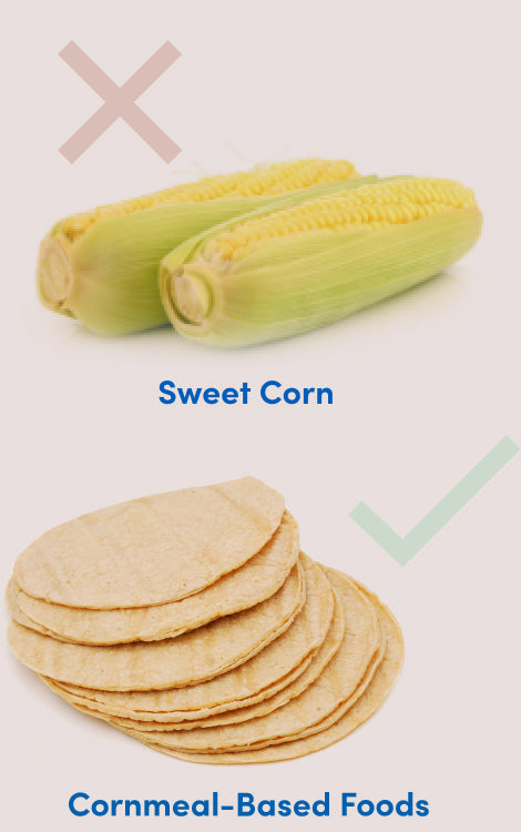 low fodmap diet