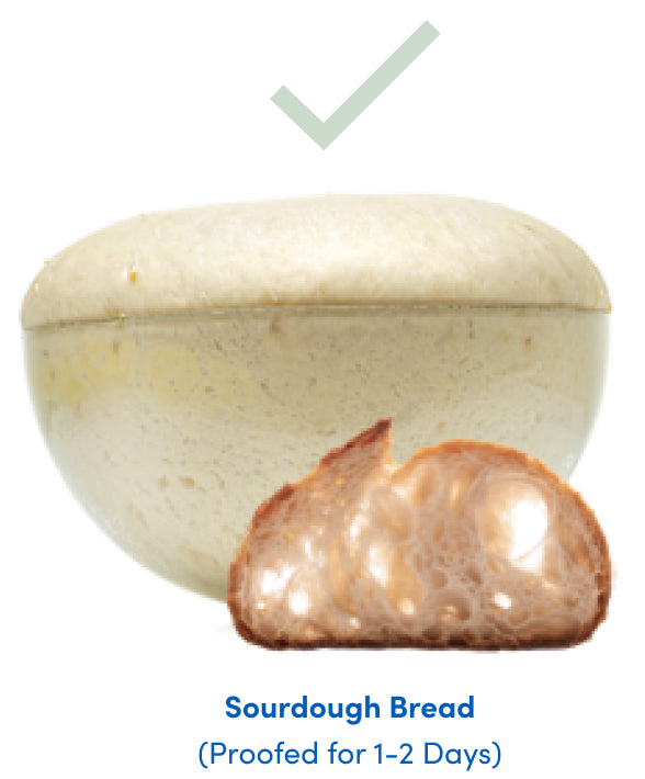 low fodmap diet