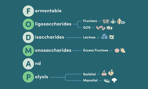 Broccoli FODMAP Guide: Proven Portions For IBS Relief – Gourmend Foods