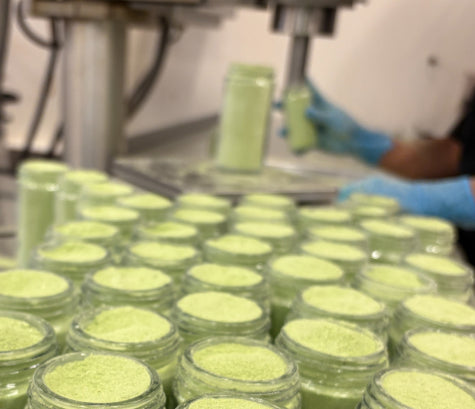 Rows of filled glass jars of pale green powder on a filling line, with a gloved worker behind